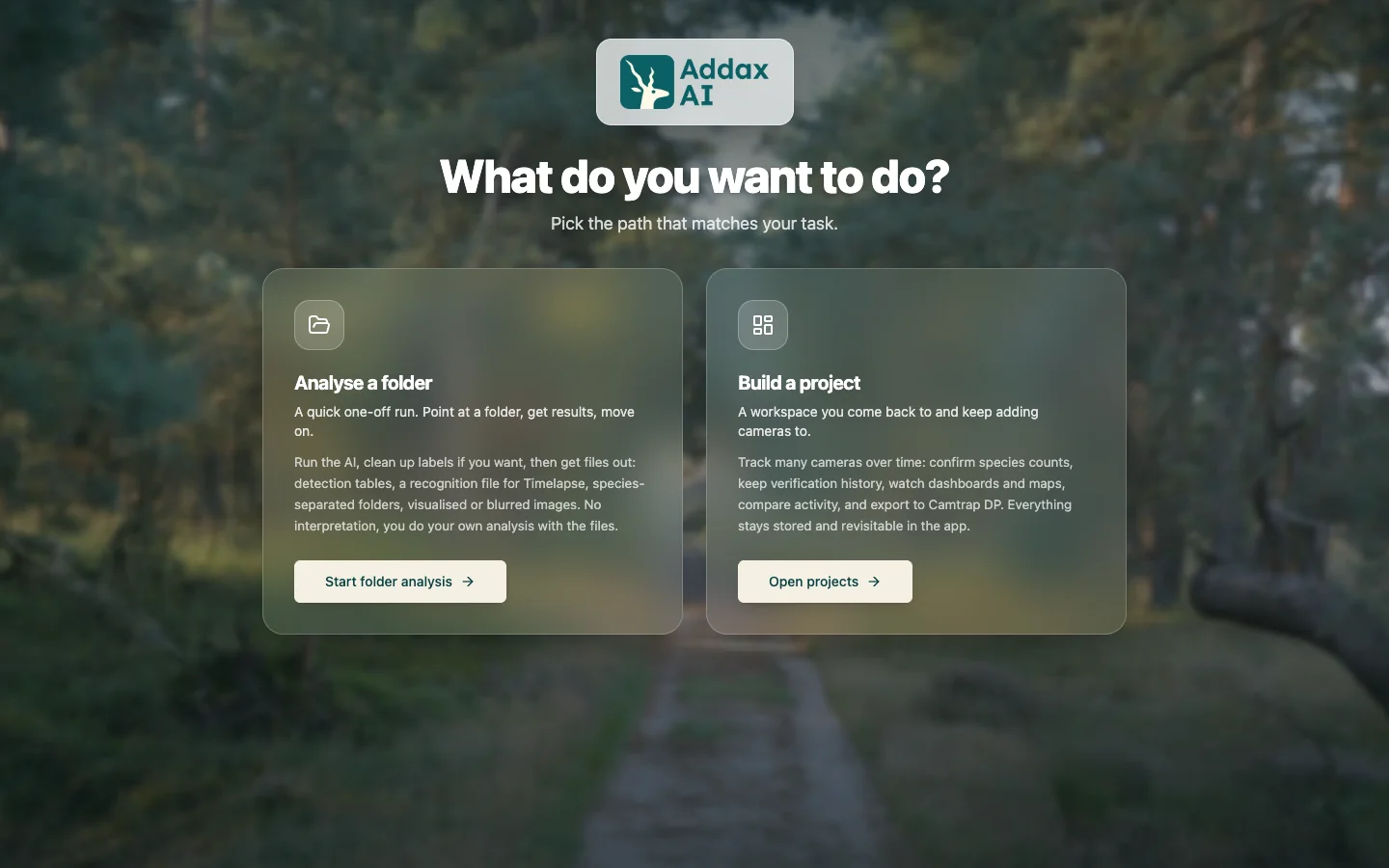 AddaxAI start screen with the two ways to work