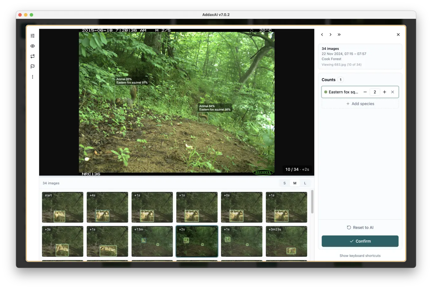 An event opened on the Counts page: the best frame, the film strip of the event below, and the count editor with a Confirm button