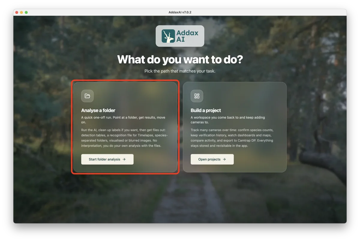 Start folder analysis from the AddaxAI home screen